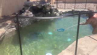 BBW Cleaning Her Pool