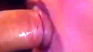 Hot Wild Cocks for Hot Wild Bitches