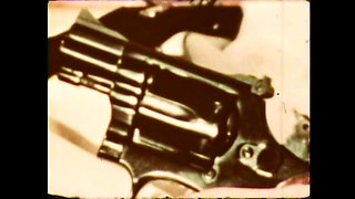 The Pig Eats My Penis